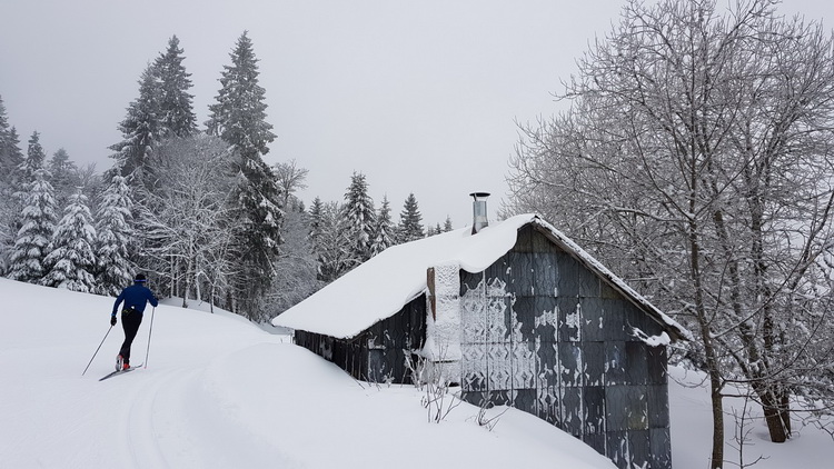 La Bresse été : www.petitecaille.fr